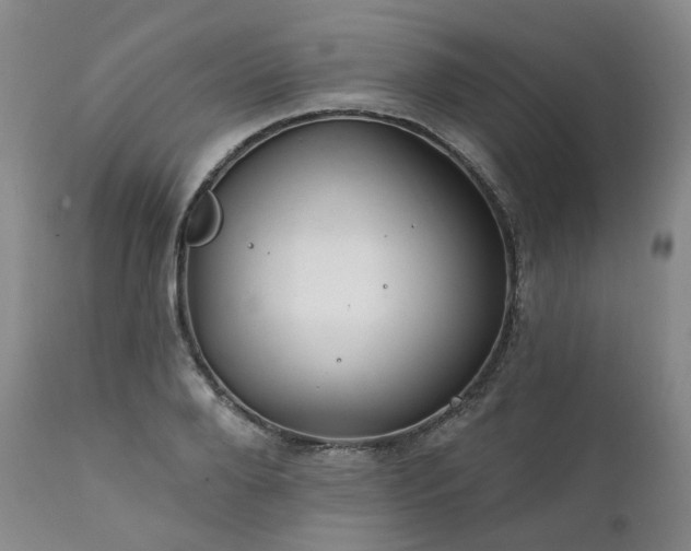 X0000112020888200908031354