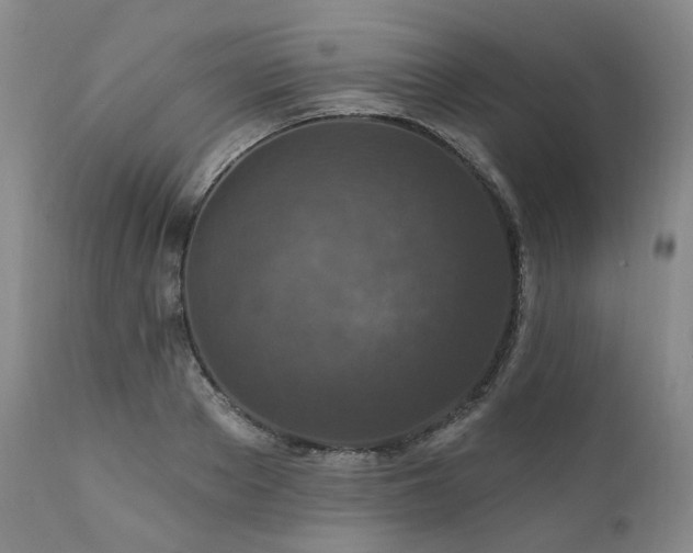 X0000112020889200908031354