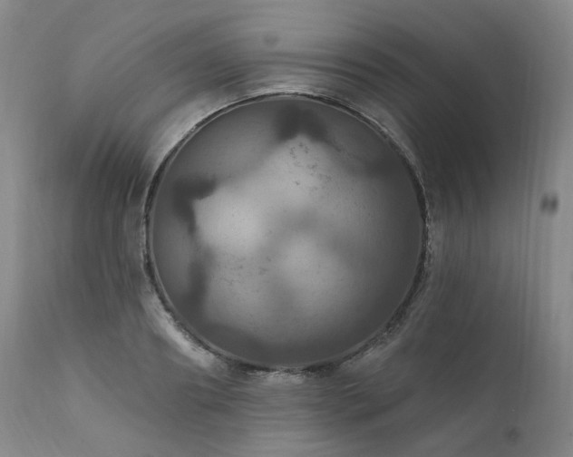 X0000112020890200908031354