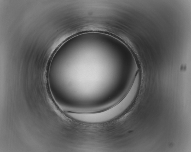 X0000112020893200908031354