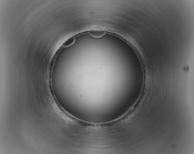 X0000112020896200908031354