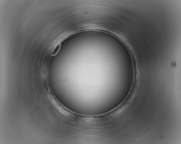 X0000112020897200908031354