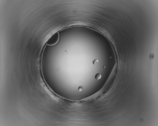 X0000112020898200908031354