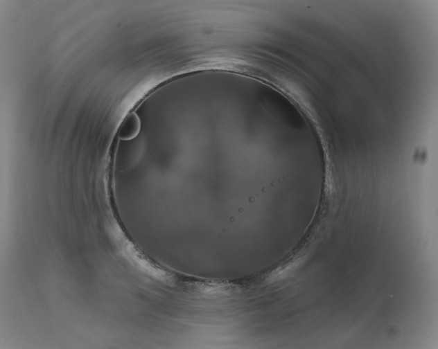 X0000112020899200908031354