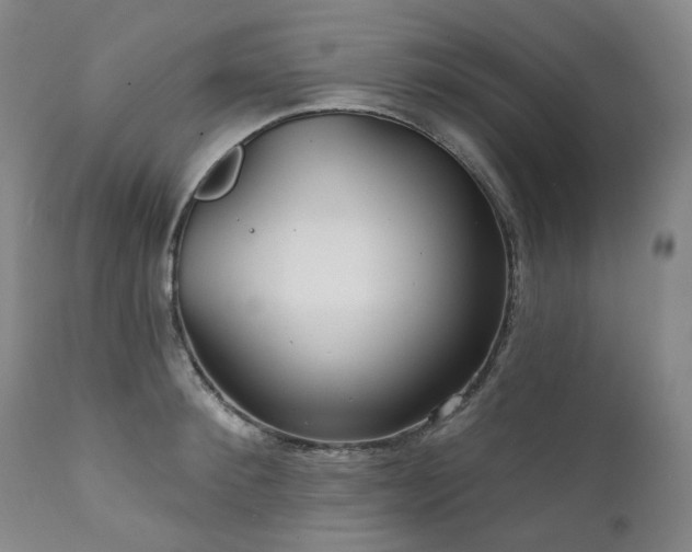 X0000112020900200908031354