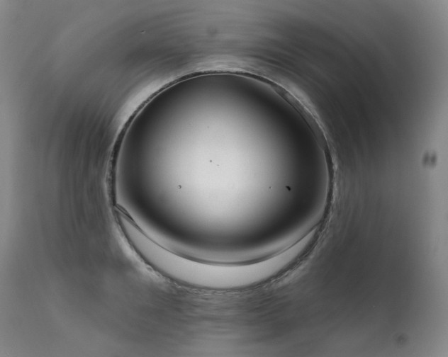 X0000112020901200908031354