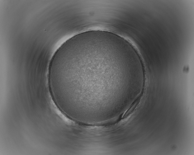 X0000112020902200908031354