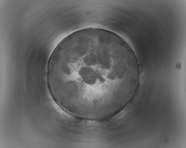 X0000112020903200908031354