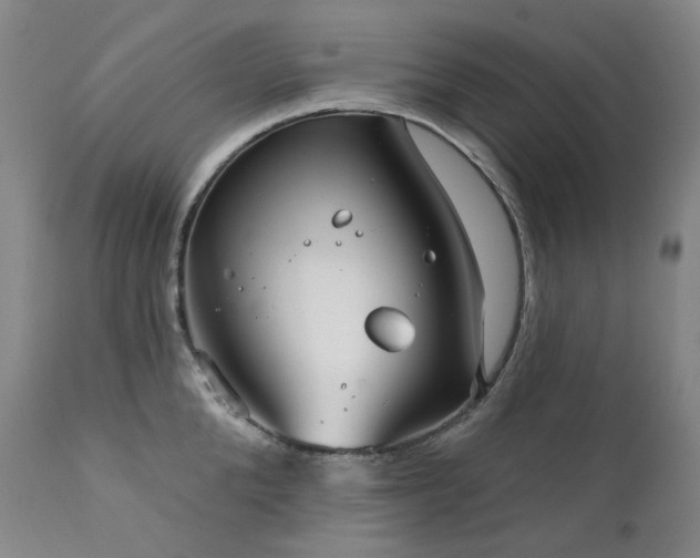 X0000112020904200908031354