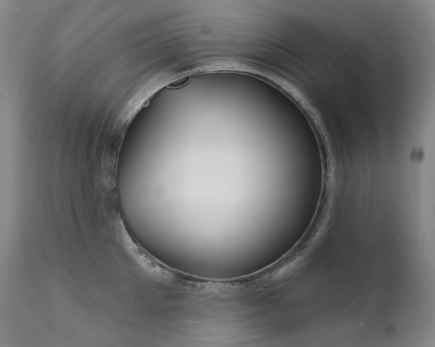 X0000112020905200908031354