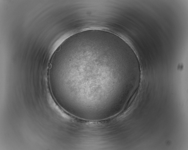 X0000112020906200908031354