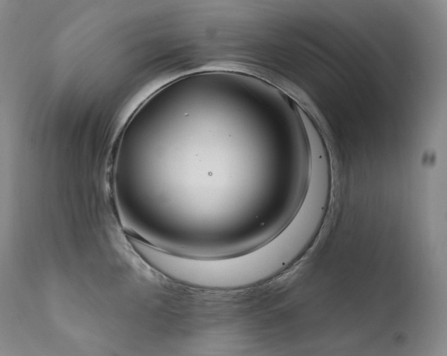 X0000112020908200908031354