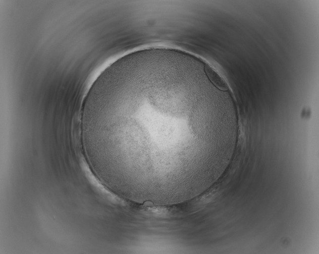 X0000112020911200908031354