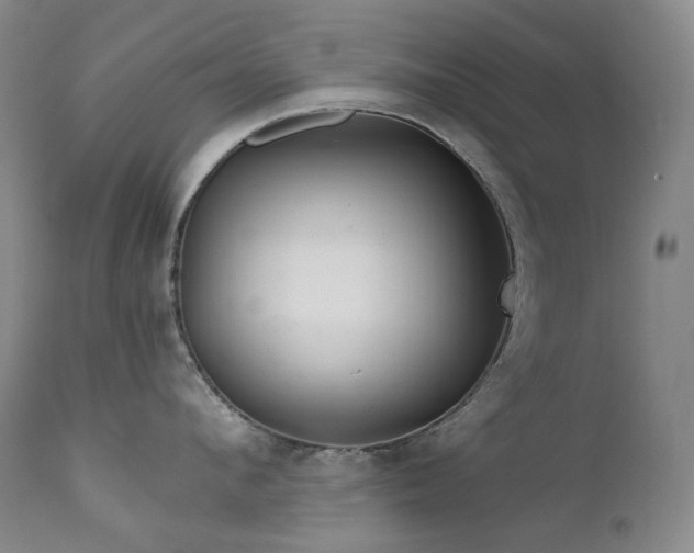 X0000112020912200908031354