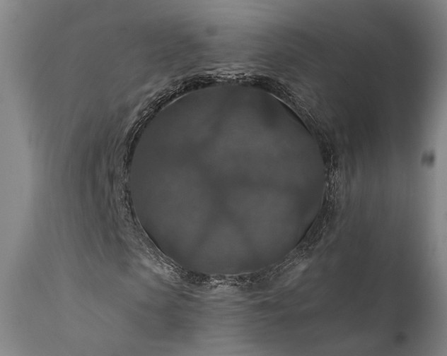 X0000112020913200908031353