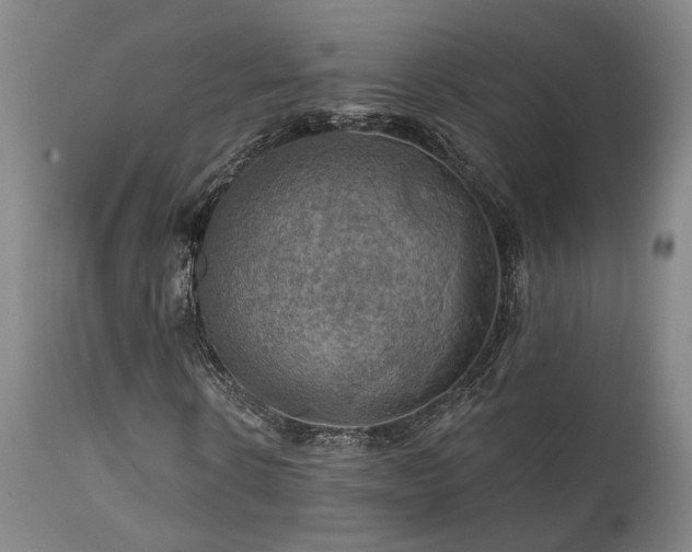 X0000112020914200908031353