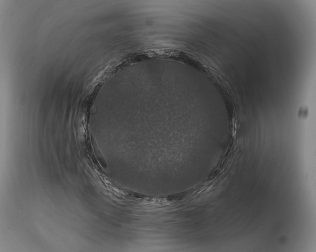 X0000112020915200908031353