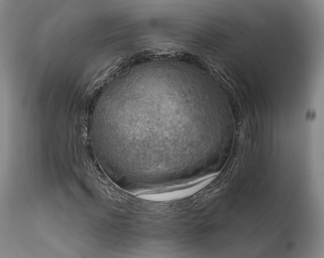 X0000112020916200908031353