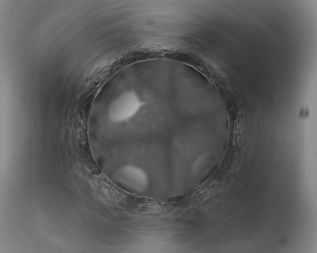 X0000112020917200908031353