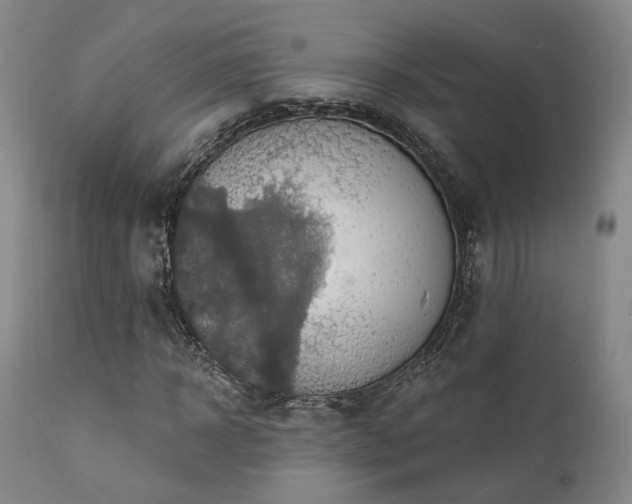 X0000112020918200908031353