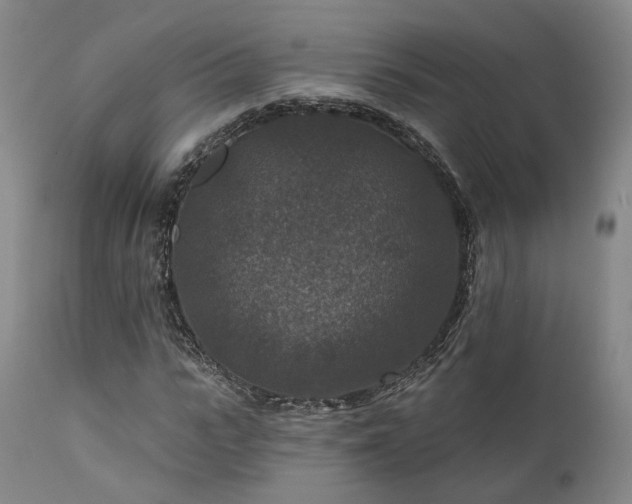 X0000112020919200908031353