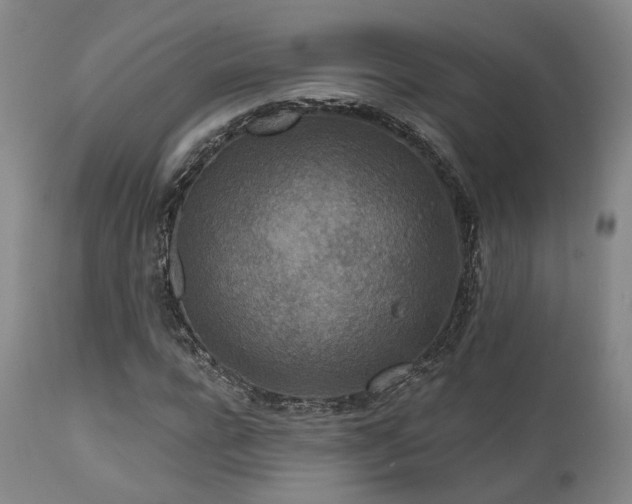 X0000112020920200908031353