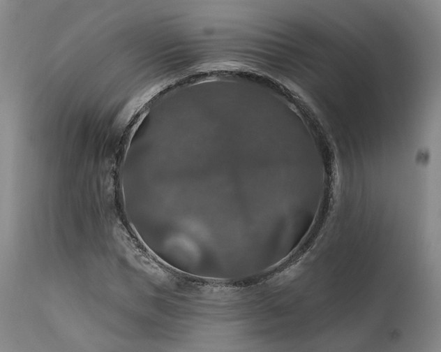 X0000112020921200908031353