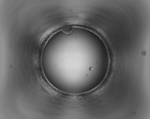 X0000112020922200908031353