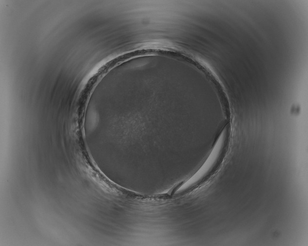 X0000112020923200908031353