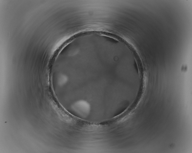 X0000112020925200908031353