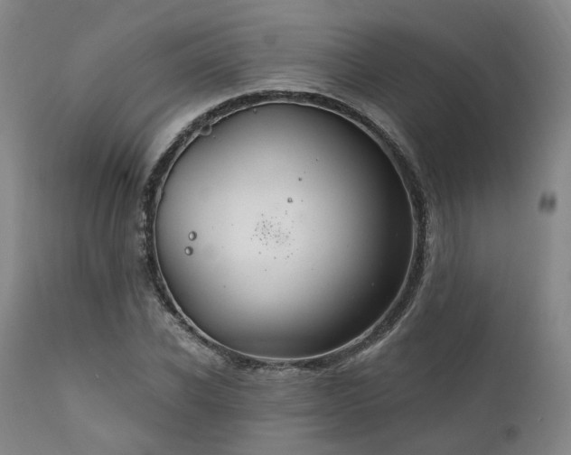 X0000112020926200908031353