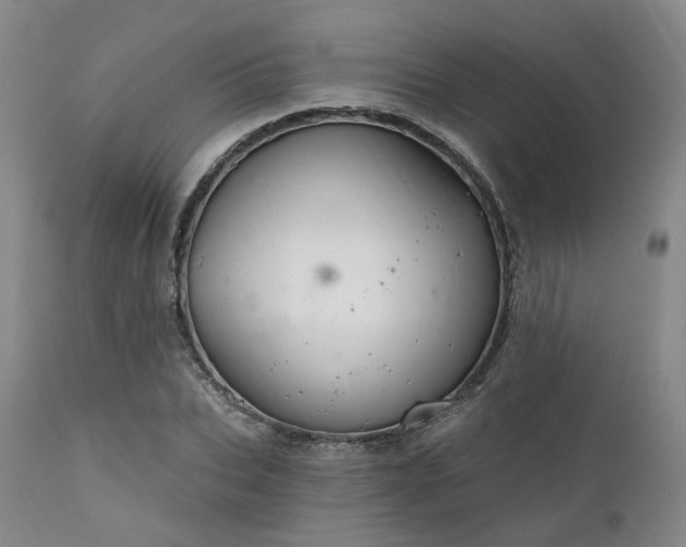 X0000112020927200908031353