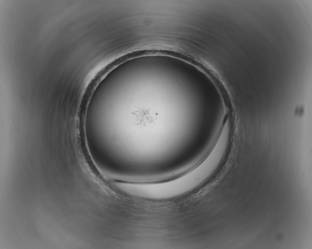 X0000112020928200908031353