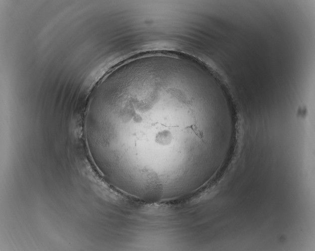 X0000112020929200908031353