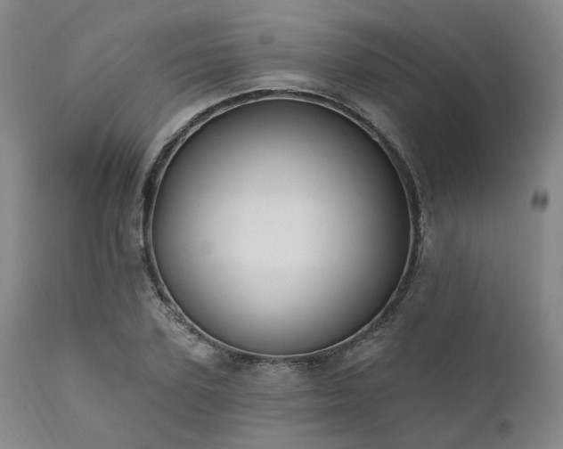 X0000112020931200908031353