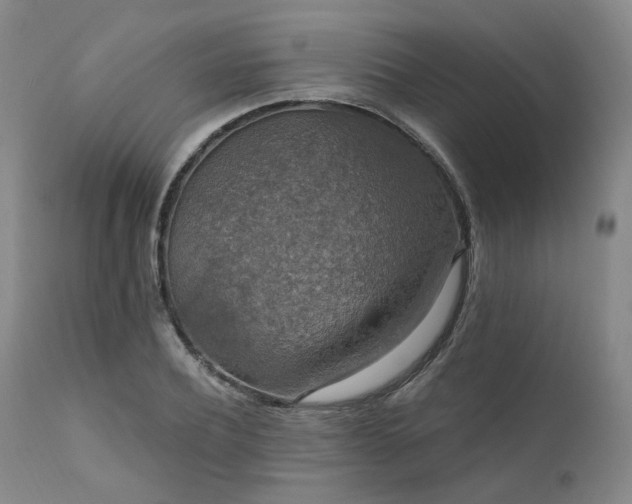 X0000112020932200908031353