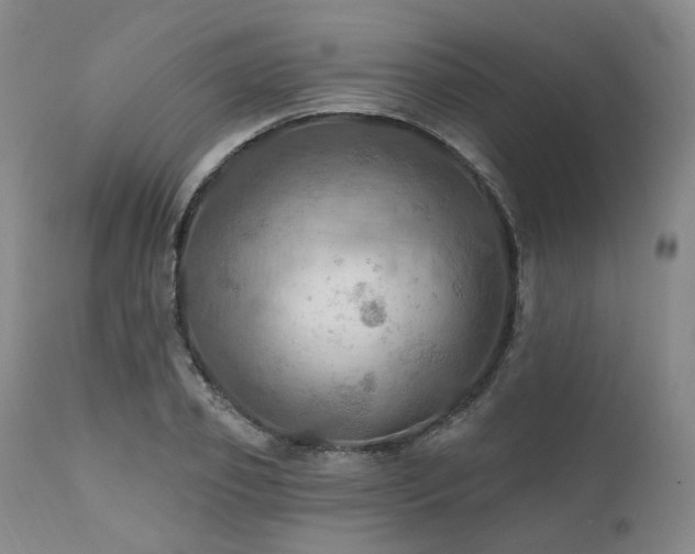 X0000112020933200908031353