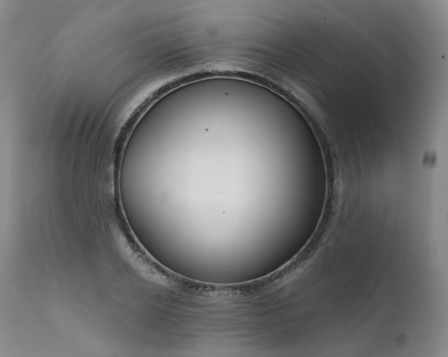 X0000112020934200908031353