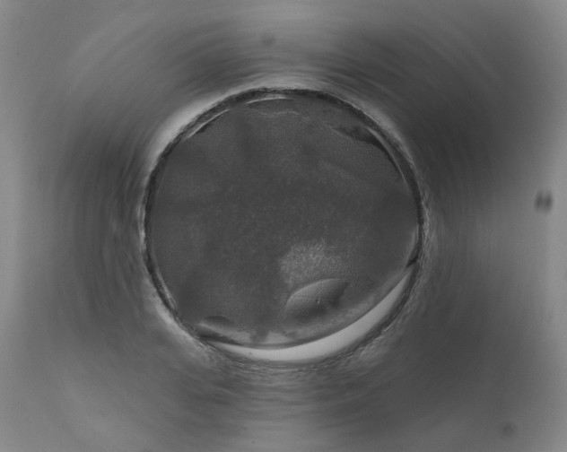 X0000112020935200908031353