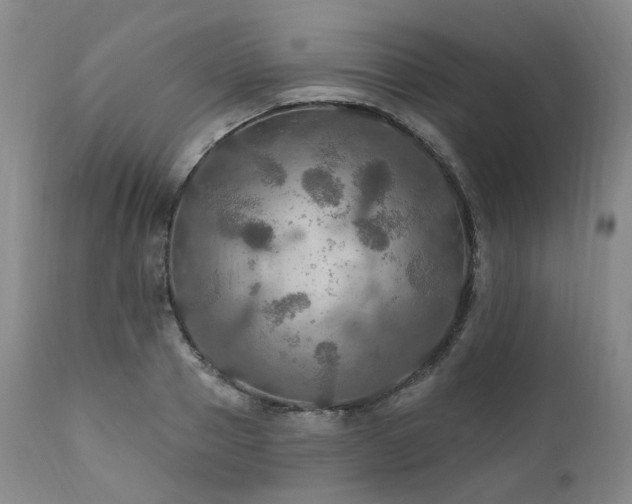 X0000112020937200908031353