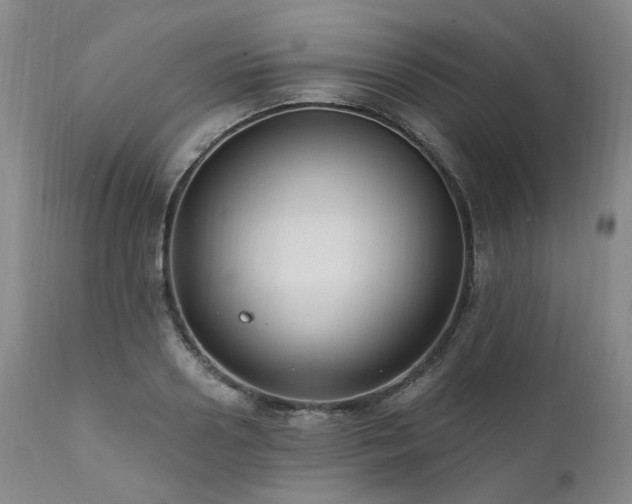 X0000112020938200908031353