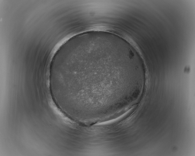 X0000112020939200908031353