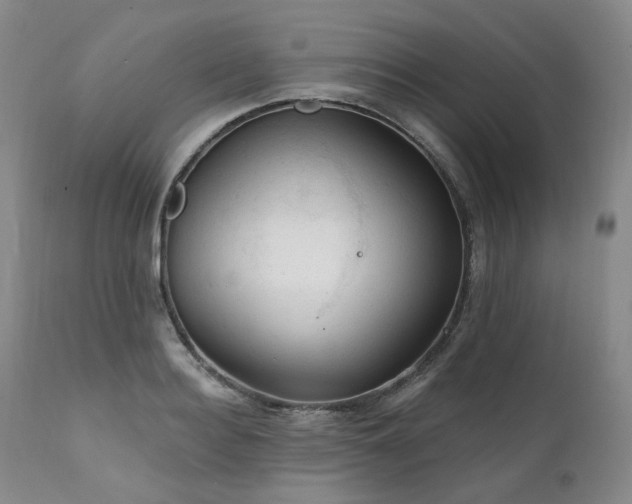 X0000112020940200908031353