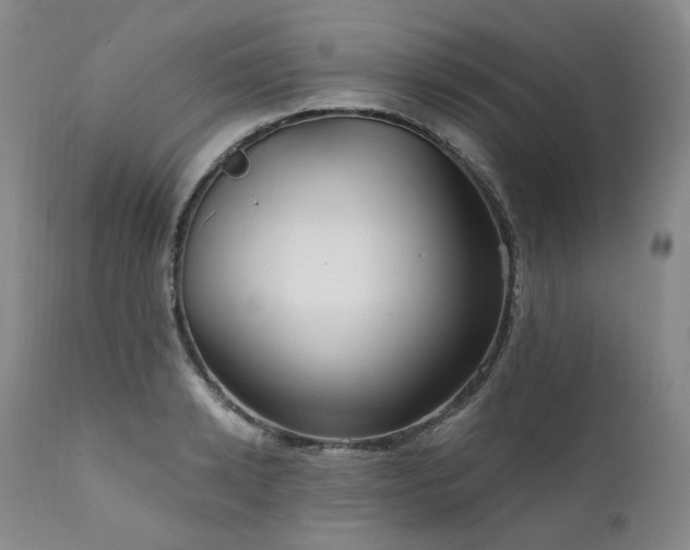 X0000112020942200908031353