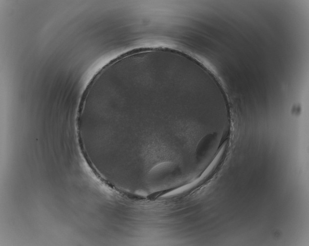 X0000112020943200908031353