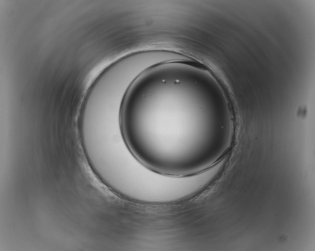 X0000112020944200908031353