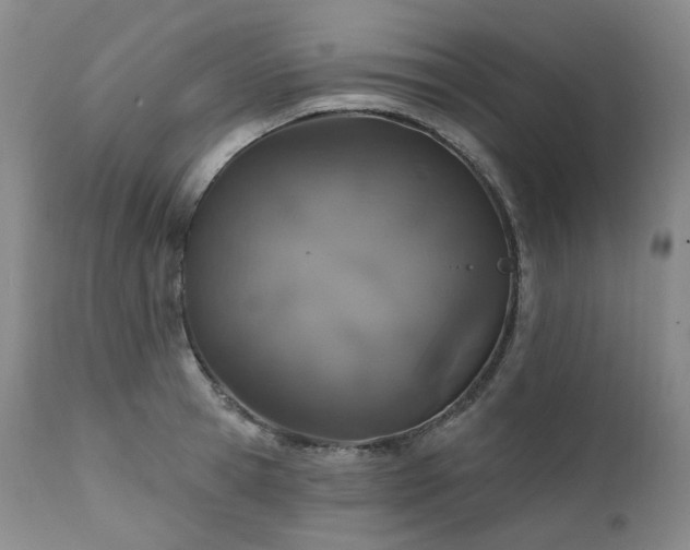 X0000112020945200908031353