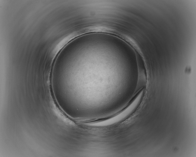 X0000112020946200908031353