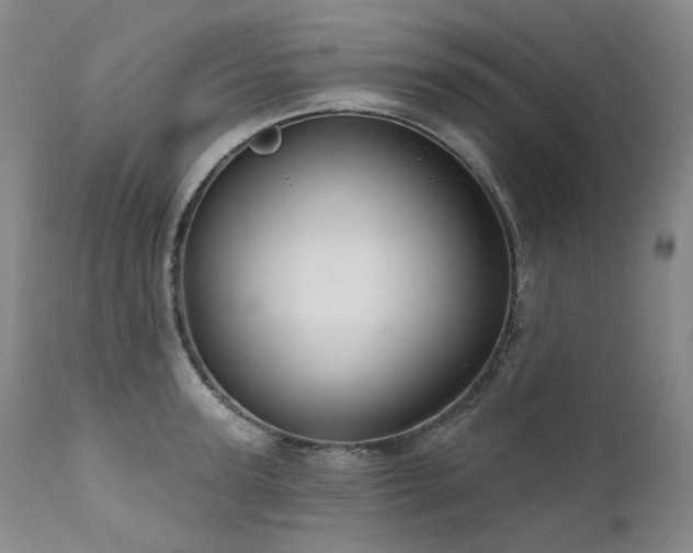 X0000112020947200908031353