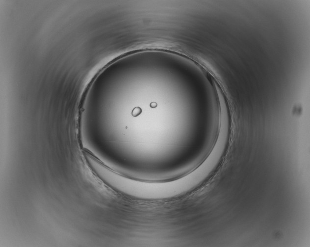 X0000112020948200908031354